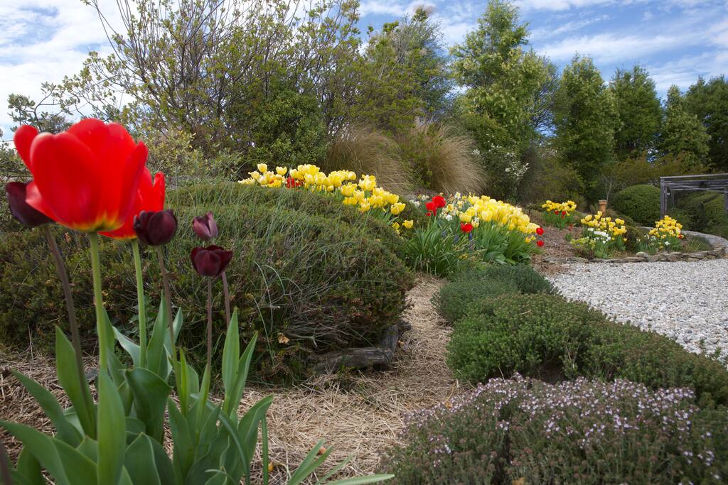 Spring flowers