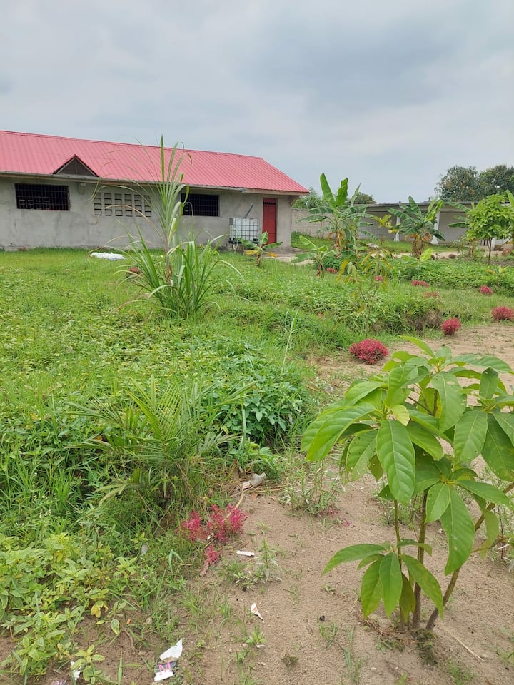 BIBWA farm for rent Flats for Rent in Kinshasa, Kinshasa, Democratic