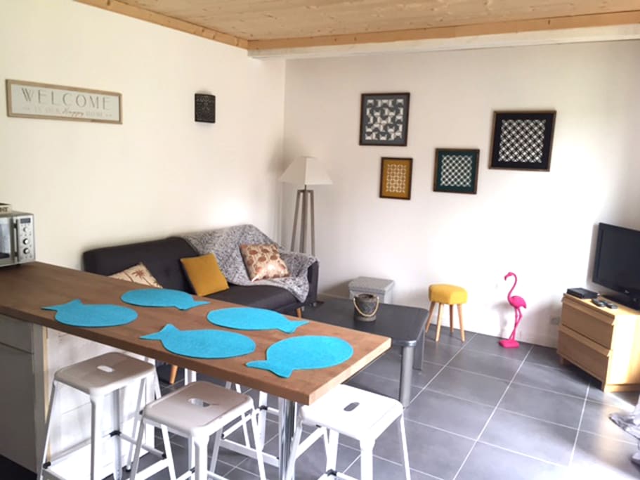 salle avec canapé et tv
