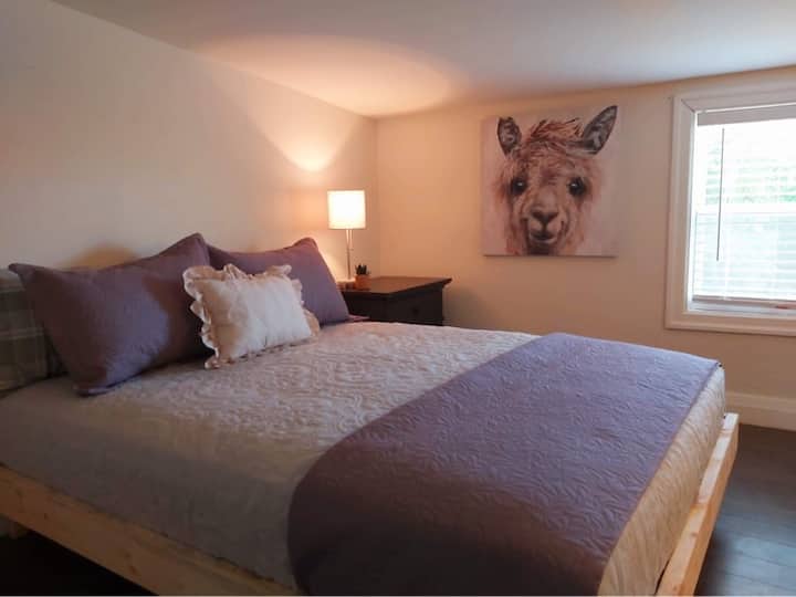 Habitación 1