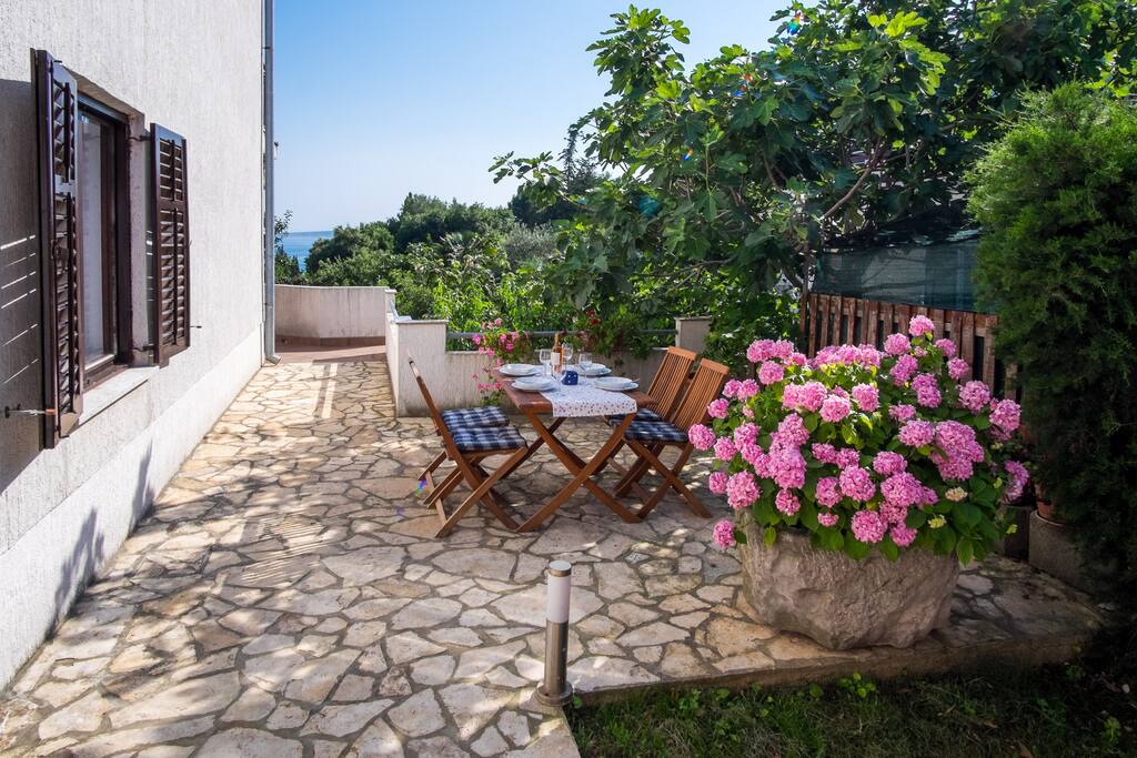 Terrace and Garden