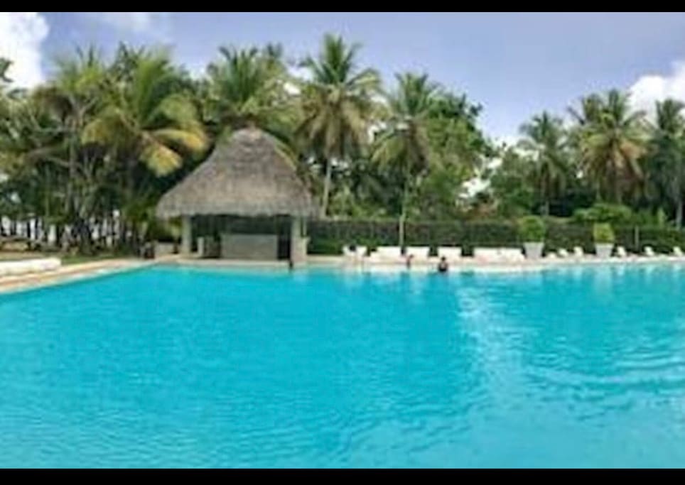 View from the property swimming pool
Vista de la piscina en el proyecto