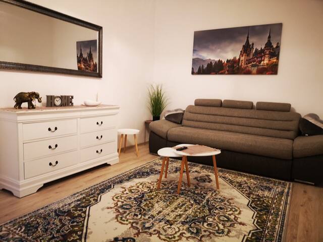 Selena Apart Apartments For Rent In Brașov Bv Romania