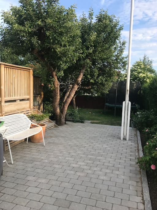 Our garden with everything sun.