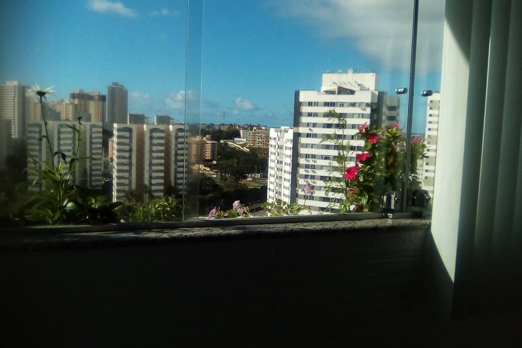 Visão a partir da janela da sala