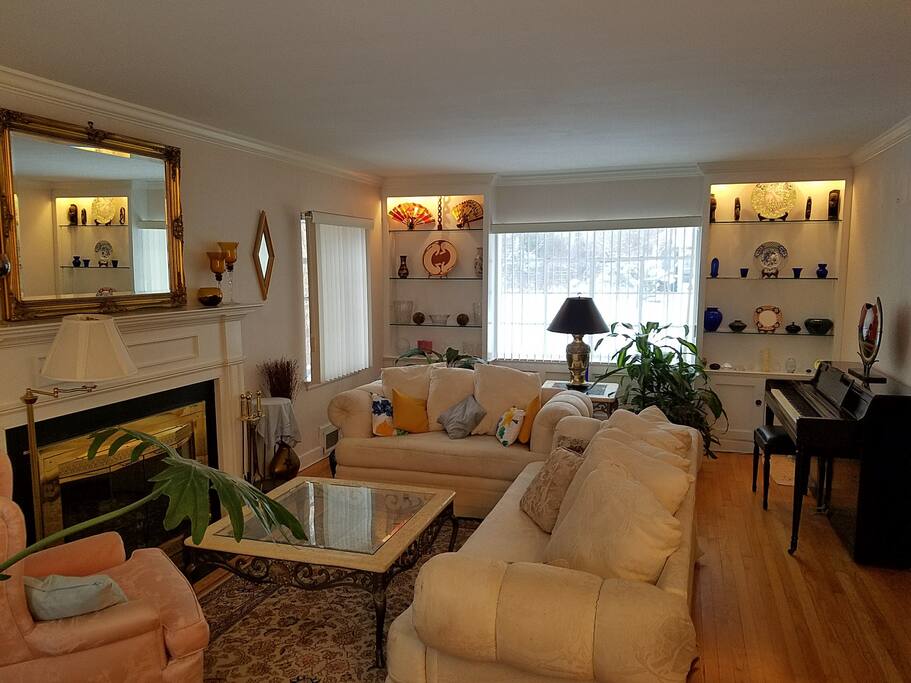 Living room with Light, plants and fireplace