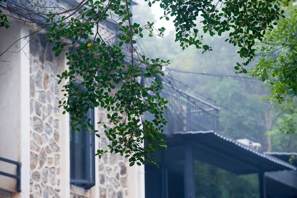 榕石外观 Building