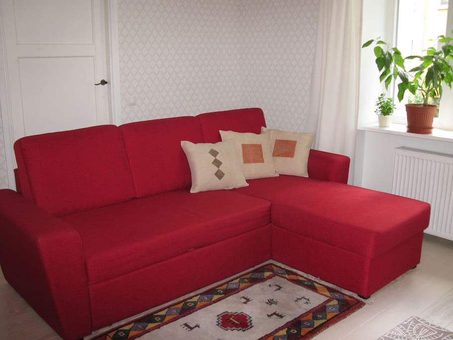 Livingroom - couch bed for 2