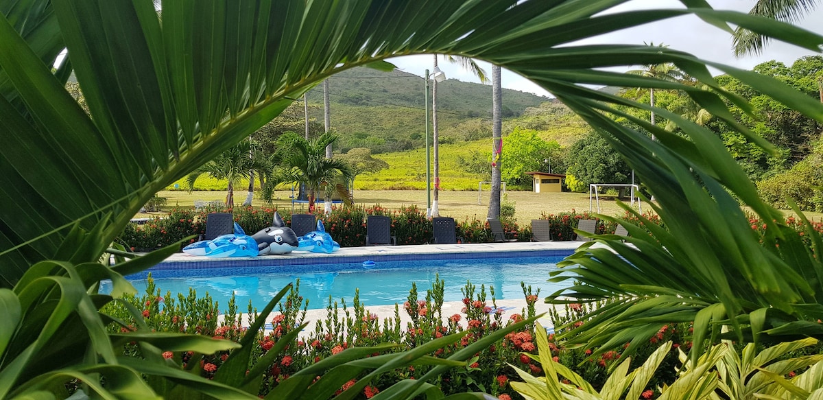 A serene view of a swimming pool framed by lush palm leaves and vibrant flowers. Comfortable lounge chairs are positioned by the poolside, while greenery and distant hills create a peaceful backdrop.