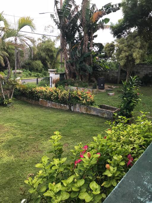 Front Yard
