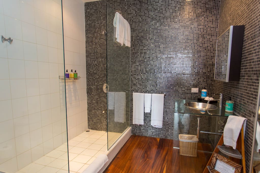 Master Bath (1)