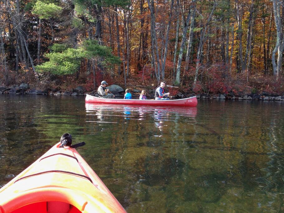 Our lakefront cove