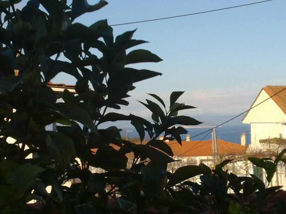 Sea view from dining terrace.