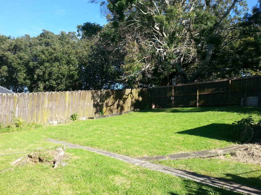 This is our back yard. There is a park behind us.