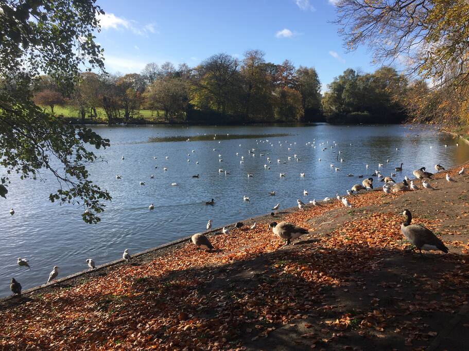 This is our nearby park, just 50 meters away from the house.