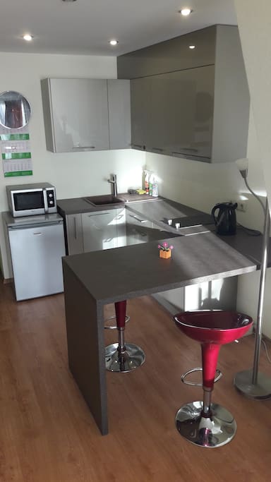 Clean, modern kitchen with a fridge, microwave, dishes and all the rest.