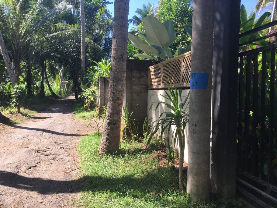 The road to the main road and Green School.