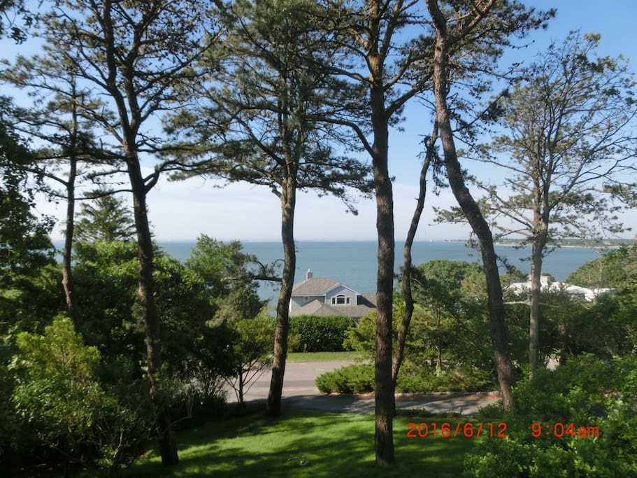 Spatular water view from the house.