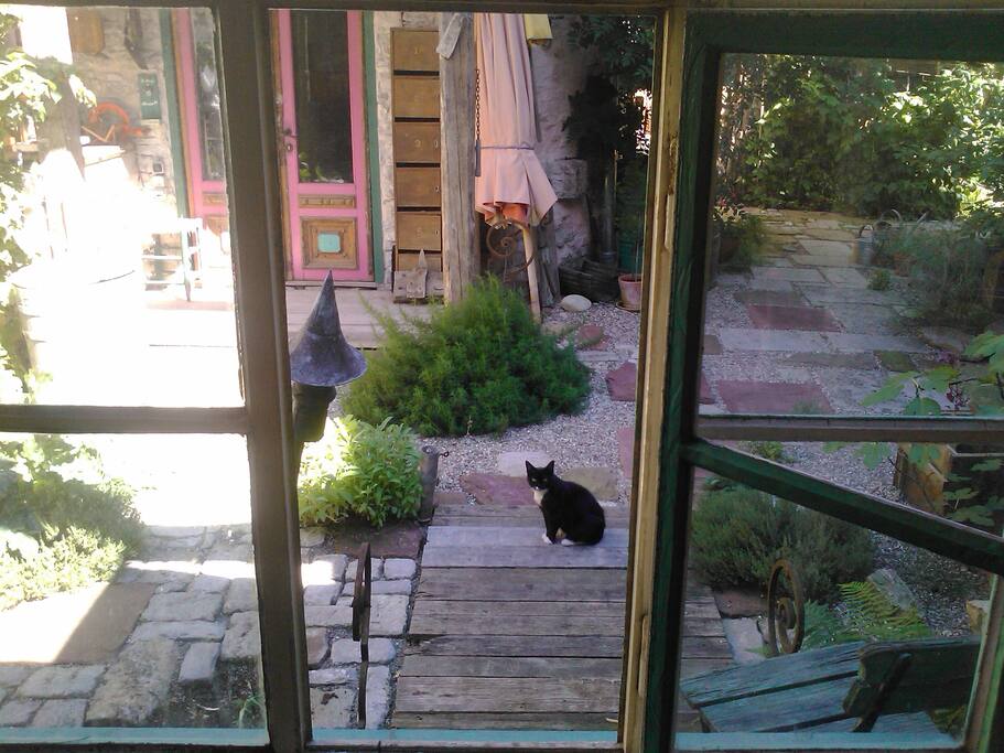 ...Katze! ...