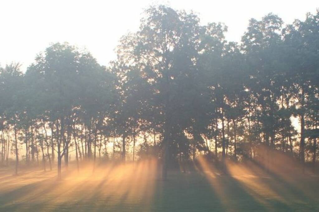 Morning sunrise view from the porch