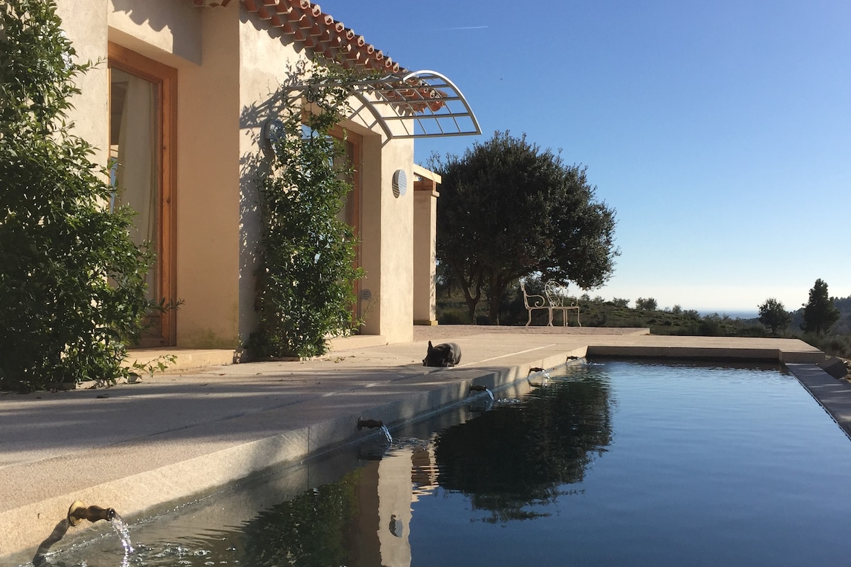 A tranquil outdoor setting features a salt-water pool alongside a light-colored house. Poised under a clear blue sky, the pool reflects the surrounding landscape. Greenery and an outdoor seating area complement the space, creating an inviting atmosphere for relaxation.