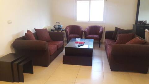 Newly furnished appartment in a comfortable area