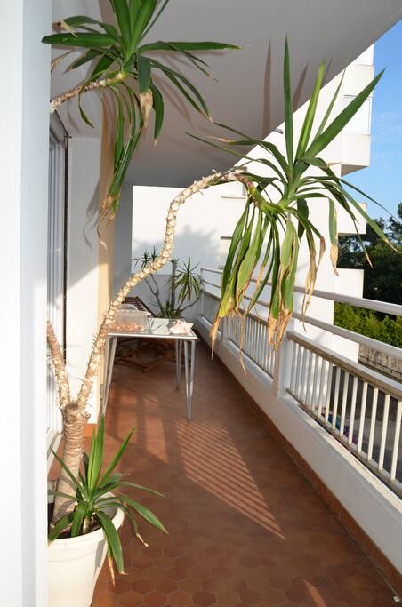 Terrasse, côté chambre principale et salon, salle-à-manger.