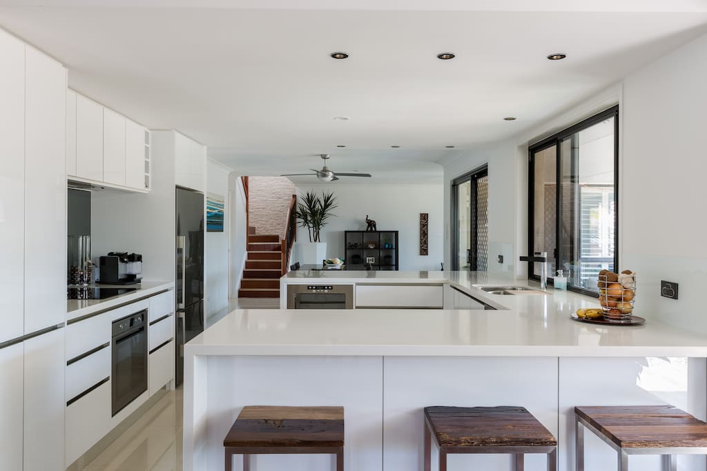 Modern Kitchen with Dishwasher, oven, induction cooktop, rangehood and many appliances