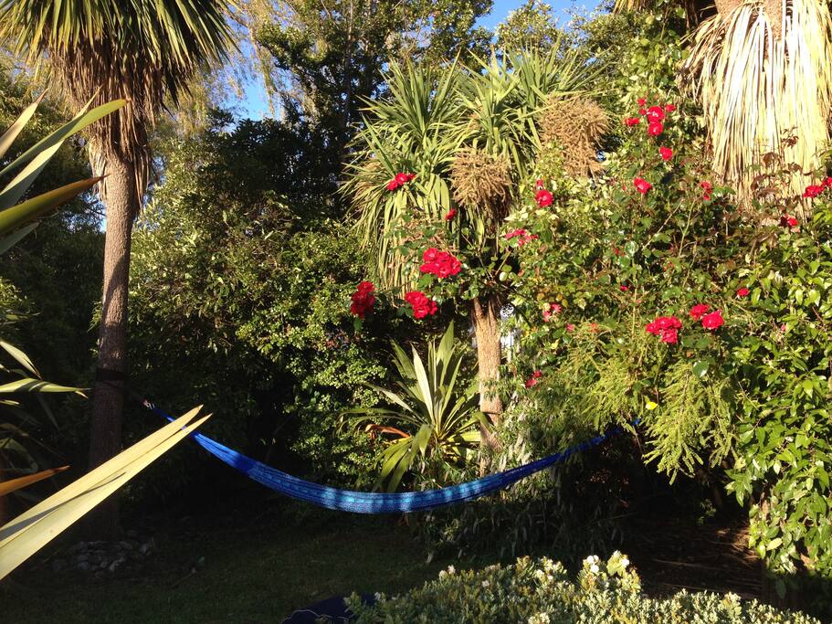 the hammock on the island across the stream in the garden