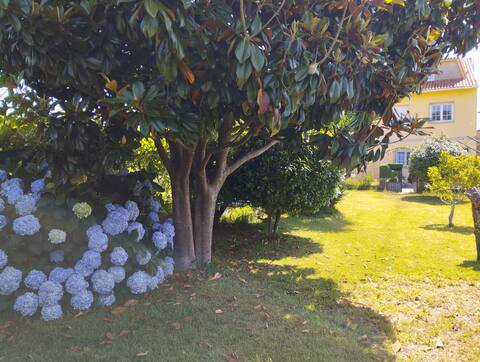 House in Cambados with gated garden.