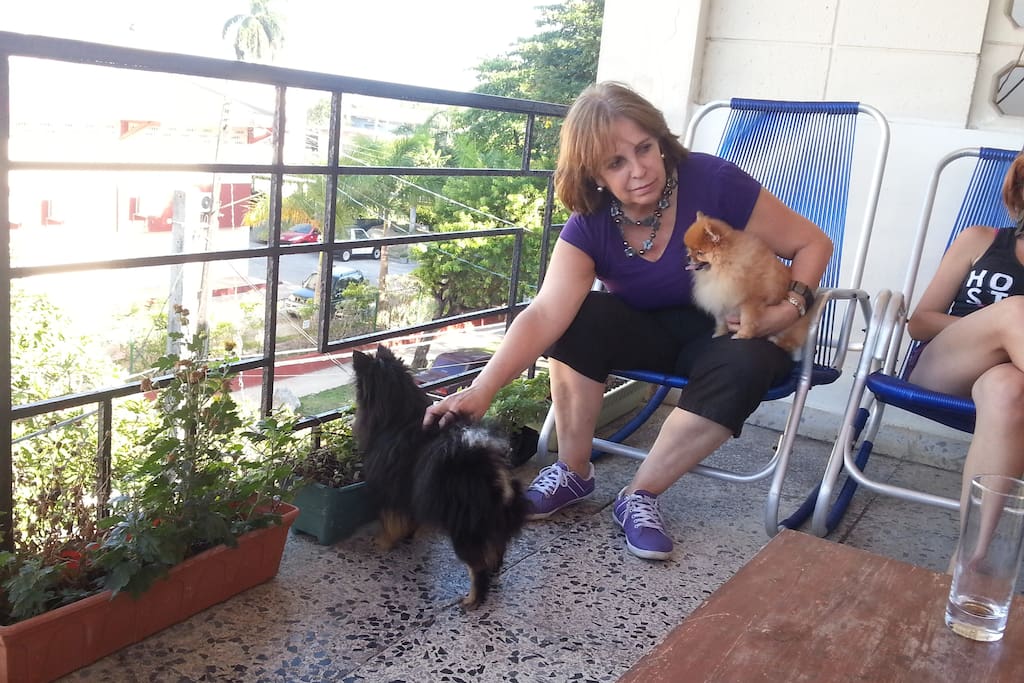 Mi nombre es Marta Olga y me gustaría darles la bienvenida. Amo la naturaleza. Me gustan los perros. Soy apasionada de la cultura universal. Me gustan los conciertos. Y mi familia es lo más importante para mí. Recibirles a ustedes en mis apartamentos "llave en mano" me causa un enorme placer para que se sientan en casa / My name is Marta Olga and I would like to welcome to you. I love nature. I like pets, especially dogs. I am passionate about universal culture and I usually attend concerts as music delights me. My family is the most important to me. Welcome you in my apartments causes me a great pleasure to me and my family that you could feel like home.