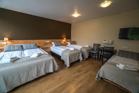 Superior Family Room *Private Bathroom*
