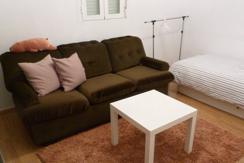 Hermosa habitación privada con cama individual y sofá