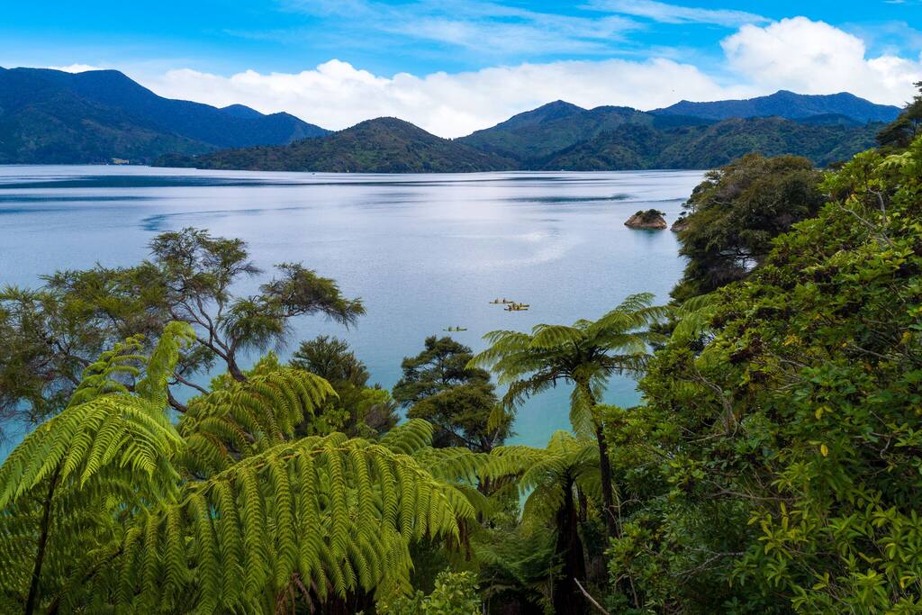Marlborough новая Зеландия