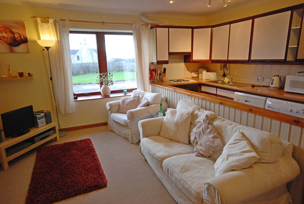 Lounge and kitchen