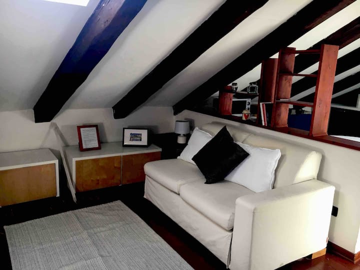 Bohemian Mansarda! Vacation homes for Rent in Trieste, FriuliVenezia