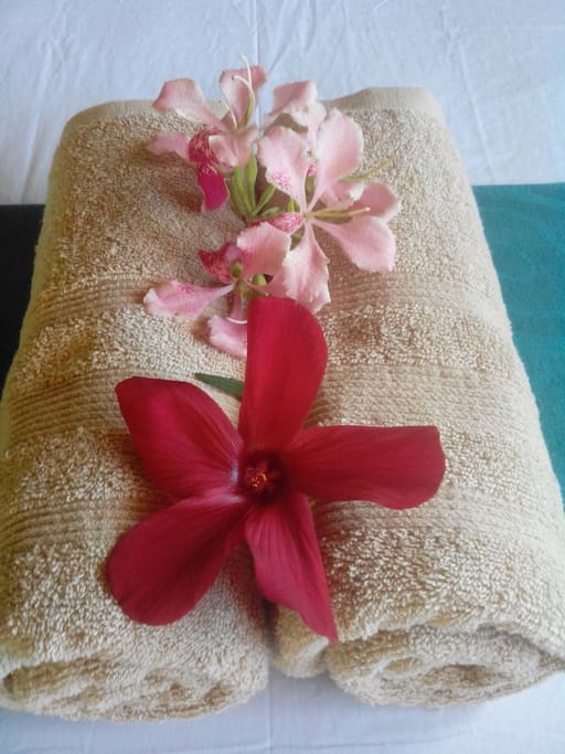 Fresh towls with pink and red hibiscus!
