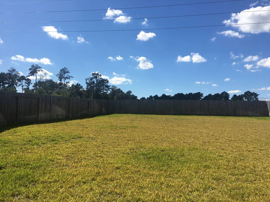The backyard