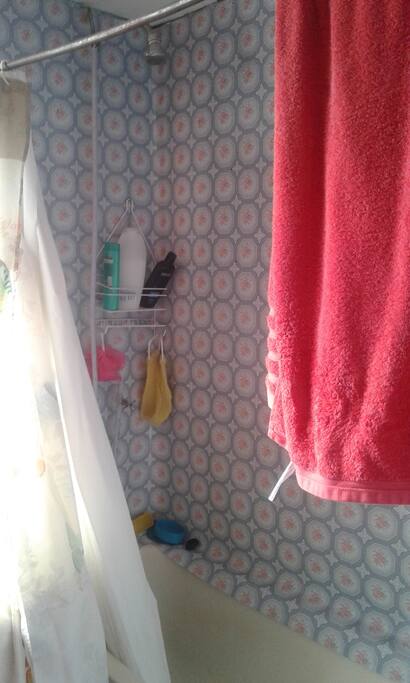 Baño ducha caliente / fría