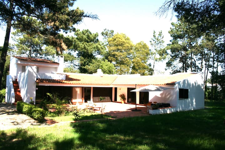 Casa Do Bosque - Amora