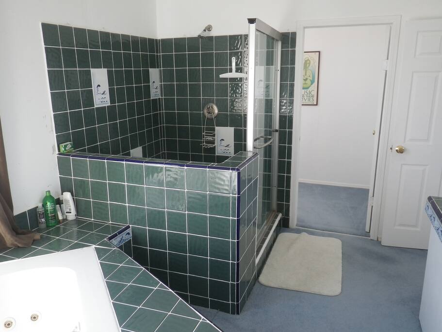 luxury suite bathroom has large shower and Jacuzzi.