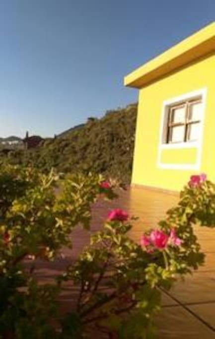 Terraza