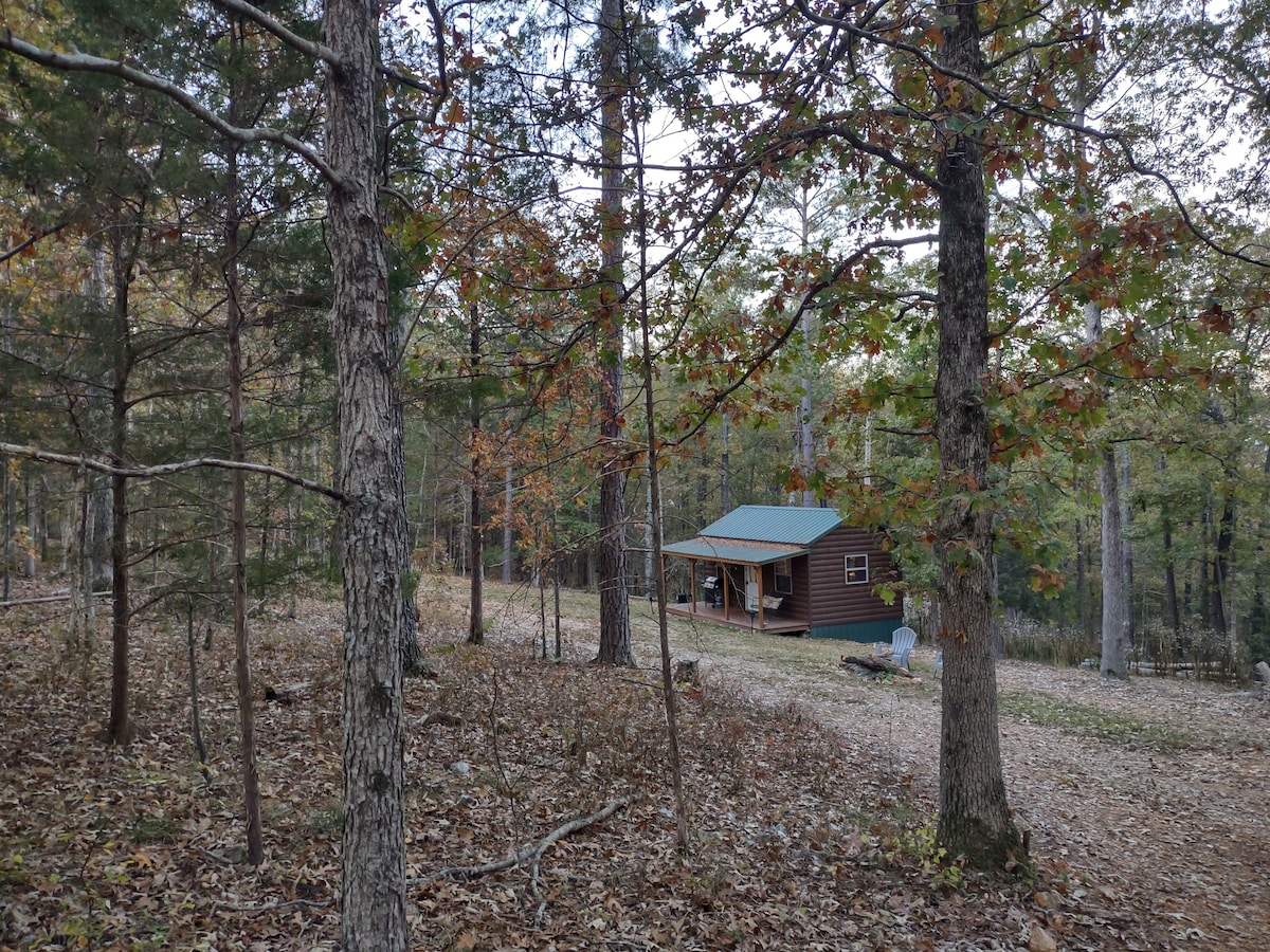A quaint cabin is nestled among trees, featuring a green roof and a porch. Leaves in various autumn hues surround the area, with a natural path leading to the cabin entrance, showcasing a serene woodland setting.