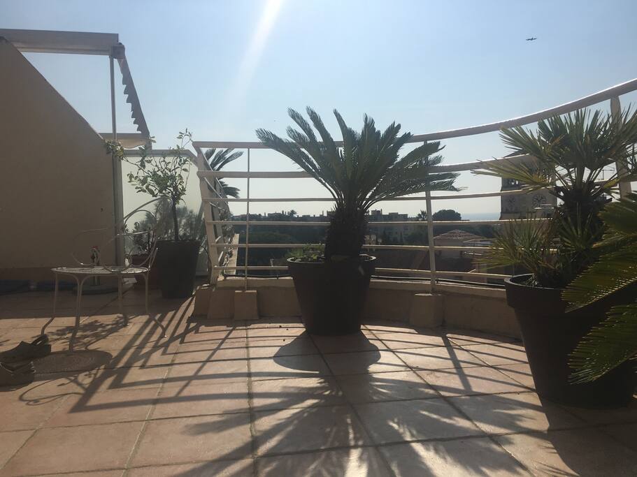 Grand toit terrasse