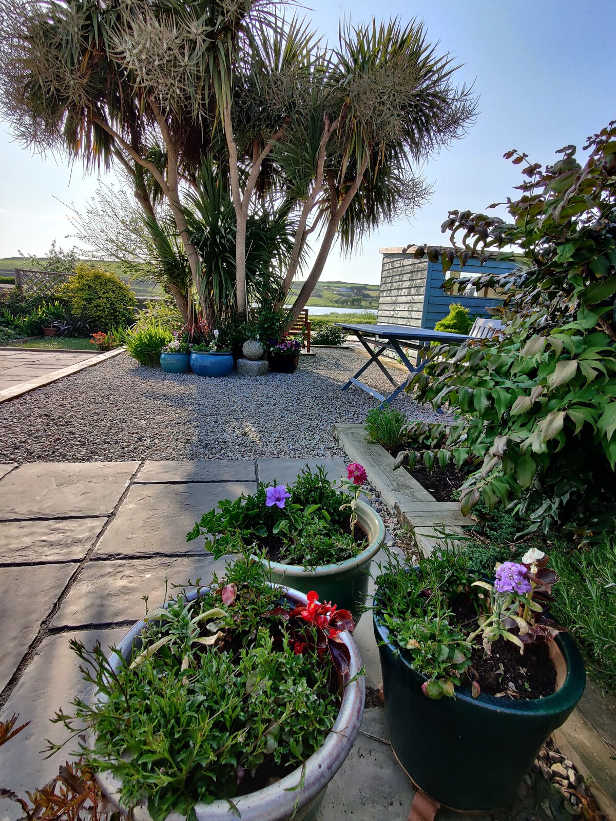 Colorful potted flowers are arranged on a stone patio, with fresh greenery surrounding a small seating area. A tall palm tree adds height to the landscape, while a vibrant blue shed can be seen in the background, set against a clear sky.