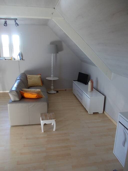 Zithoek met TV en DVD speler