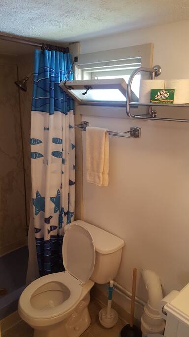 Shower Bath