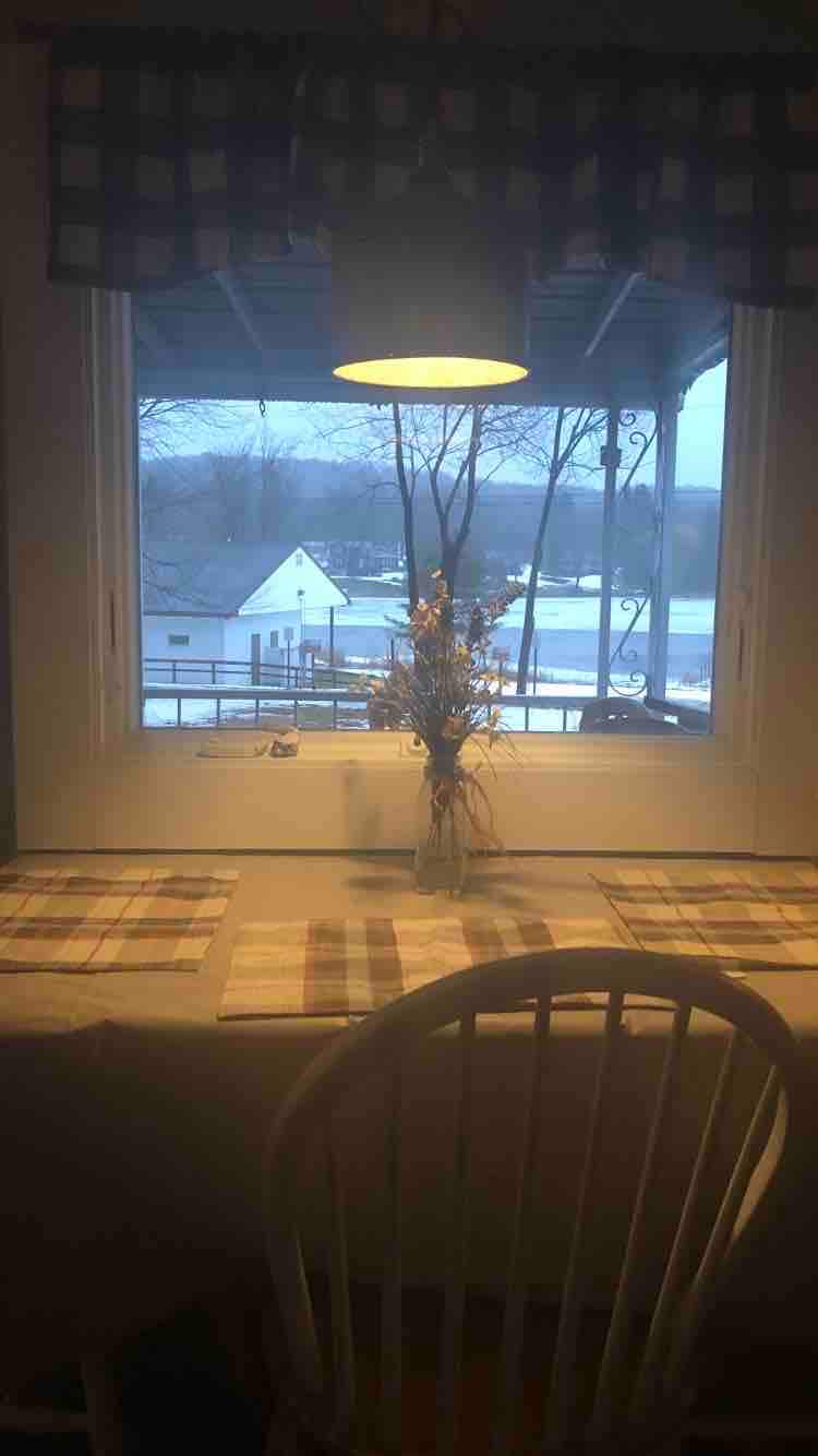 A dining area features a table set with plaid placemats, illuminated by a hanging light fixture. A glass vase with dried flowers sits at the center of the table. A large window offers a view of the outdoors, framed by checkered curtains.