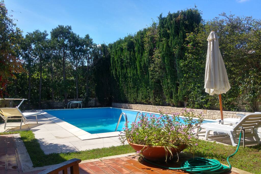 Garden, swimming pool, deckchair
