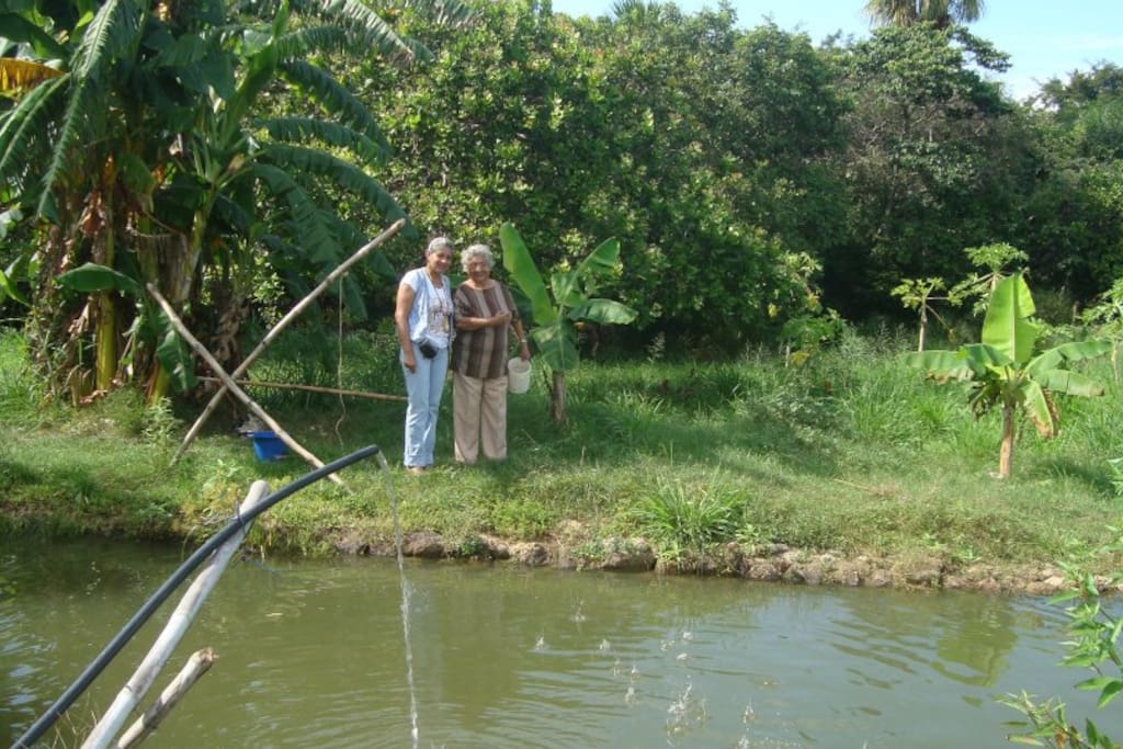 lagunas de cría de peces